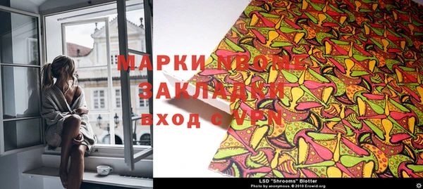 индика Арсеньев