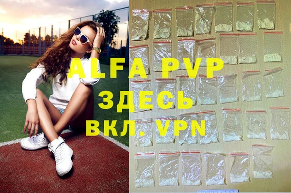 индика Арсеньев