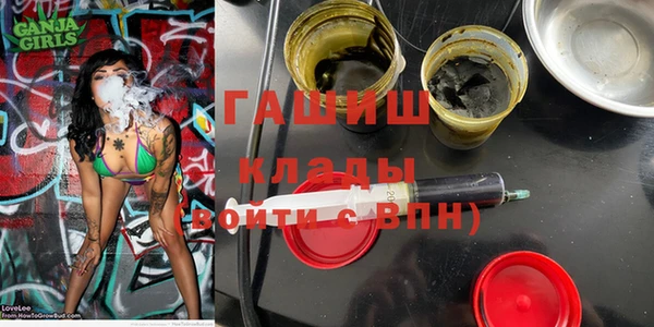 индика Арсеньев