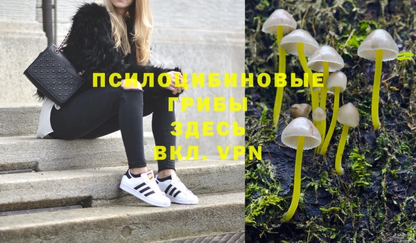 индика Арсеньев