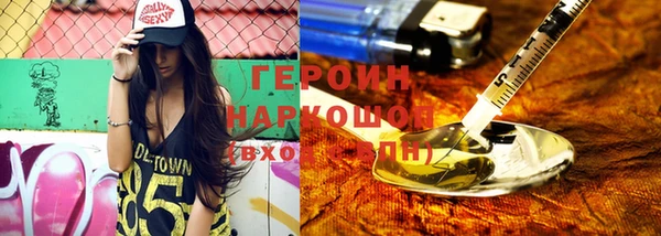 индика Арсеньев