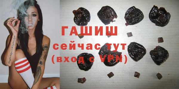 индика Арсеньев