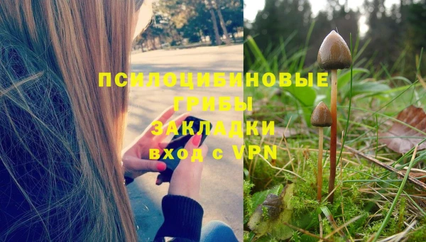 индика Арсеньев