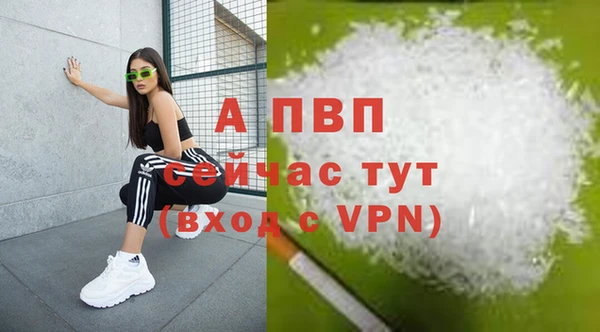 индика Арсеньев