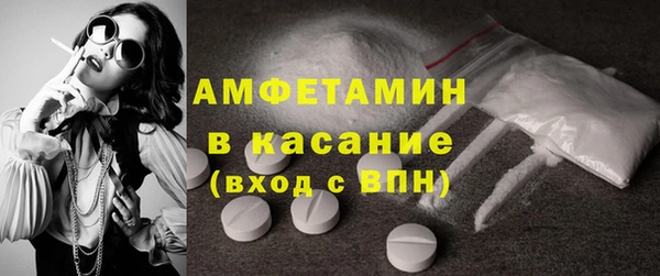 индика Арсеньев